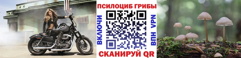 Галлюциногенные грибы MAGIC MUSHROOMS Черемхово