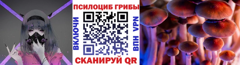 наркота  Черемхово  Галлюциногенные грибы Magic Shrooms 
